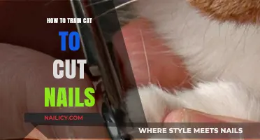 Training Cats to Trim Their Nails: A Step-by-Step Guide