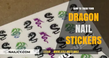 Creative How to Train Your Dragon Nail Stickers DIY Guide