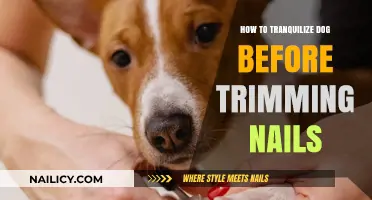 Calmly Trim Your Dog's Nails: Tranquilizing Techniques