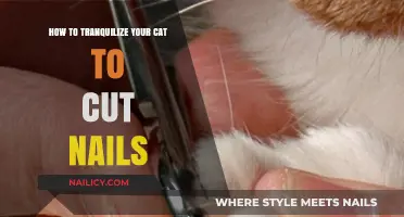 Tranquil Tips for Trimming Your Cat's Nails