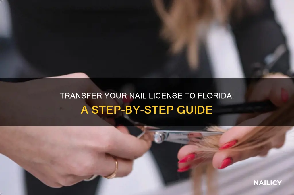 how to transfer nail license to florida