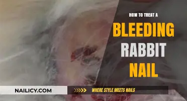 Quick Guide to Safely Treating a Bleeding Rabbit Nail