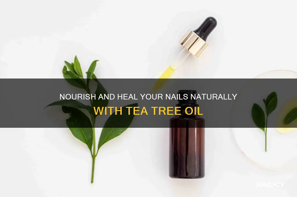 how to treat nails with tea tree oil