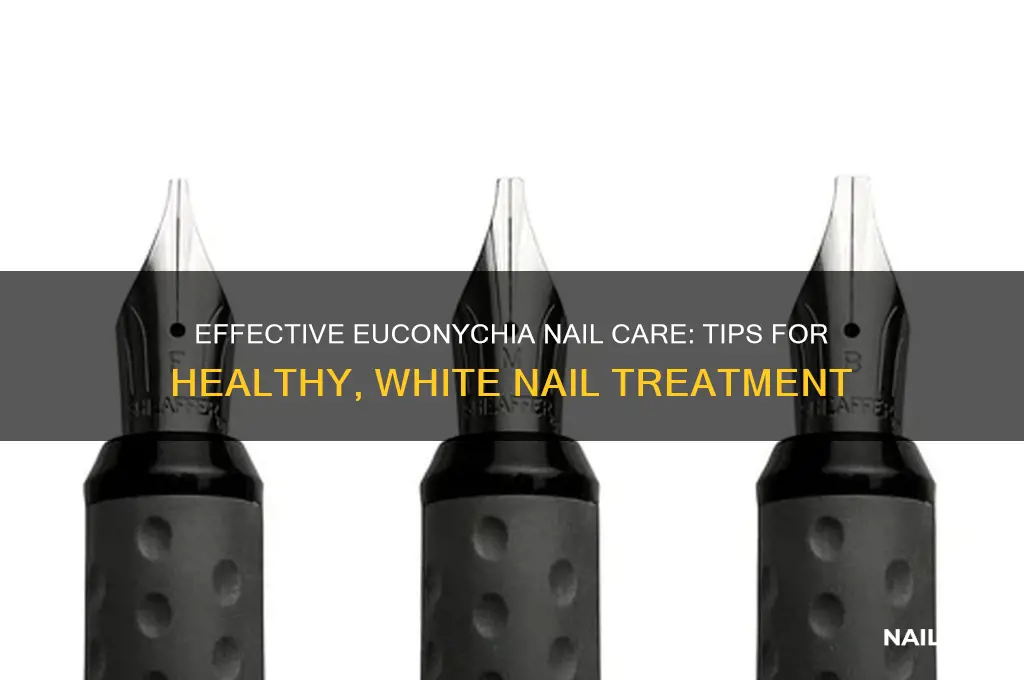 how to treat your nails with euconychia