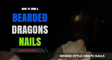 Trimming Your Bearded Dragon's Nails: A Step-by-Step Guide