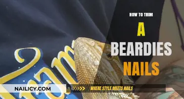 Trimming Your Bearded Dragon's Nails: A Step-by-Step Guide