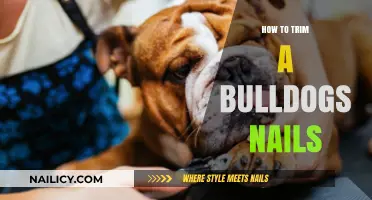 Trimming Your Bulldog's Nails: A Step-by-Step Guide