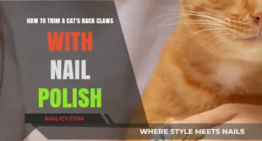Trimming Your Cat's Back Claws: A Nail Polish Technique Guide