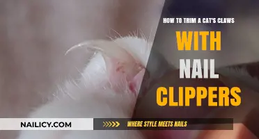 Trimming Your Cat's Claws: A Step-by-Step Guide
