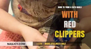 Trimming Cat Nails: Using Red Clippers Safely