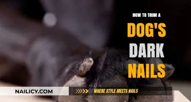Trimming Dark Nails: A Step-by-Step Guide for Dog Owners