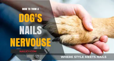 Calmly Trimming Your Dog's Nails: A Step-by-Step Guide