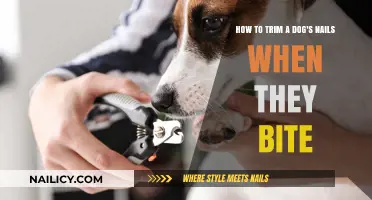 Trimming Dog Nails: Strategies to Avoid Bites