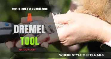 Trimming Dog Nails: Using a Dremel Tool Safely and Effectively