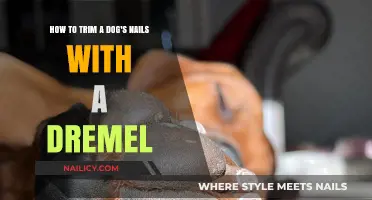 Trimming Dog Nails: Using a Dremel Safely and Effectively