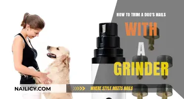 Trimming Dog Nails: Using a Grinder Safely and Effectively