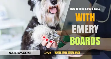 Trimming Dog Nails: The Emery Board Method