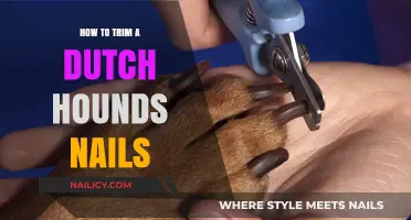 Trimming Your Dutch Hound's Nails: A Step-by-Step Guide
