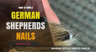 Trimming Your German Shepherd's Nails: A Step-by-Step Guide