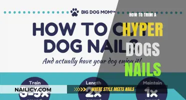Trimming Your Hyper Dog's Nails: A Step-by-Step Guide