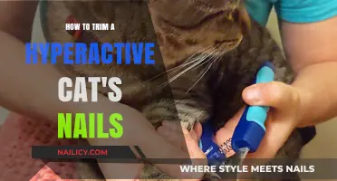 Trimming a Hyperactive Cat's Nails: Tips and Tricks