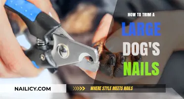 Trimming Your Large Dog's Nails: A Step-by-Step Guide