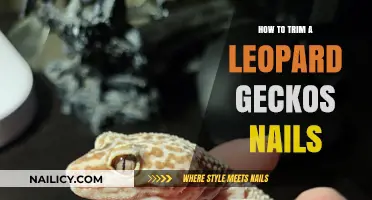 Trimming Your Leopard Gecko's Nails: A Step-by-Step Guide