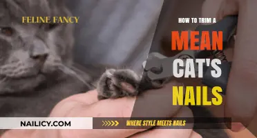Trimming Your Cat's Nails: A Step-by-Step Guide