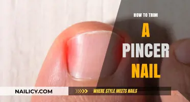 Trimming Pincer Nails: The Ultimate Guide for Beginners
