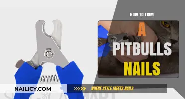 Trimming Your Pitbull's Nails: A Step-by-Step Guide