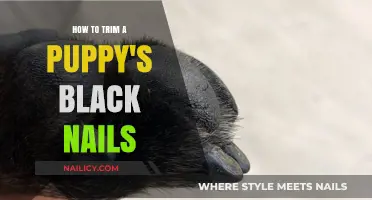 Trimming Black Puppy Nails: A Step-by-Step Guide