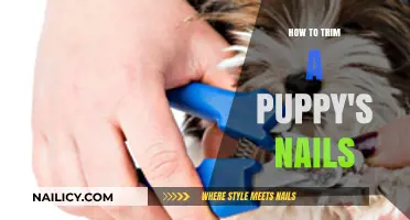 Trimming Your Puppy's Nails: A Step-by-Step Guide