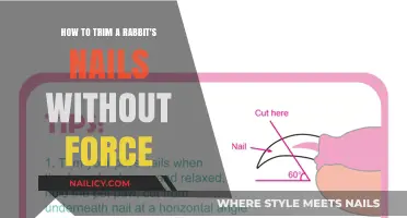Trimming Rabbit Nails: A Gentle Approach