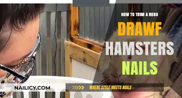 Trimming Nails: A Robo Dwarf Hamster Guide