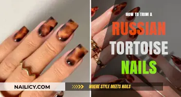 Trimming Nails: A Russian Tortoise Care Guide