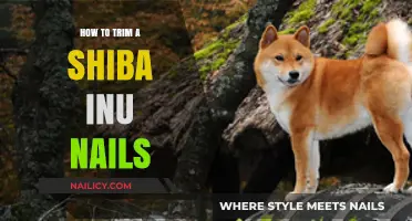 Trimming Your Shiba Inu's Nails: A Step-by-Step Guide