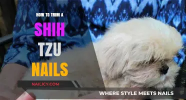 Trimming Your Shih Tzu's Nails: A Step-by-Step Guide
