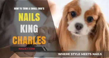 Trimming Your King Charles' Nails: A Step-by-Step Guide