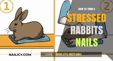 Trimming Nails: Calming Your Stressed Rabbit