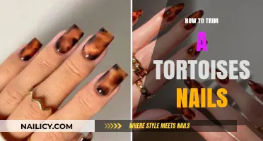 Trimming Your Tortoise's Nails: A Step-by-Step Guide