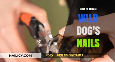 Trimming Wild Dog Nails: A Step-by-Step Guide