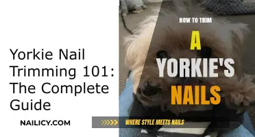 Trimming Your Yorkie's Nails: A Step-by-Step Guide