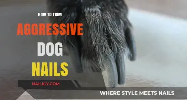 Calmly Trimming Aggressive Dog Nails: A Step-by-Step Guide