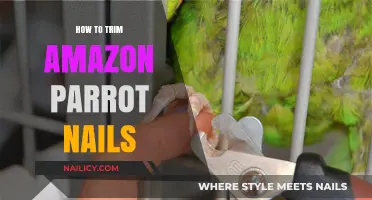 Trimming Your Amazon Parrot's Nails: A Step-by-Step Guide