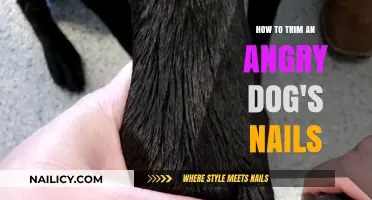 Calmly Trimming an Angry Dog's Nails: A Step-by-Step Guide