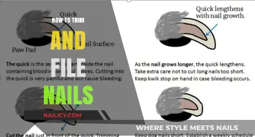 Trimming and Filing Nails: The Perfect Manicure Guide
