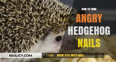 Trimming an Angry Hedgehog's Nails: A Step-by-Step Guide