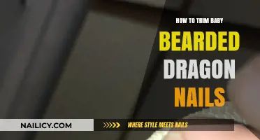 Trimming Your Baby Bearded Dragon's Nails: A Step-by-Step Guide
