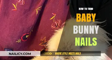 Trimming Baby Bunny Nails: A Step-by-Step Guide for New Owners