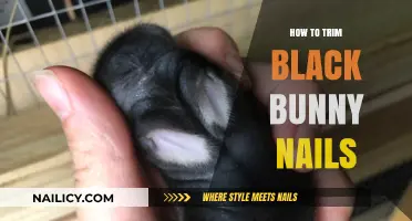 Trimming Black Bunny Nails: A Step-by-Step Guide